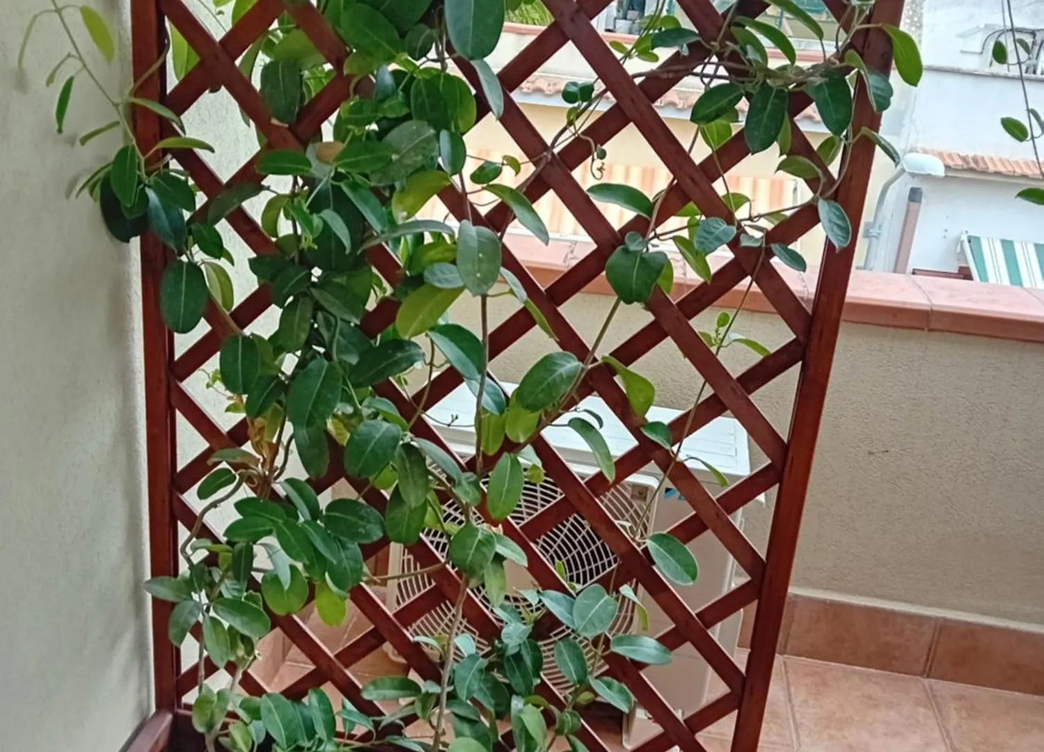 Bed & Breakfast Bed and Breakfast A Casa Tua Affitti Brevi Noto Italia